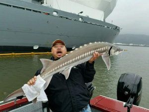 2023 Hook And Line Sturgeon Season Opens Sept. 2