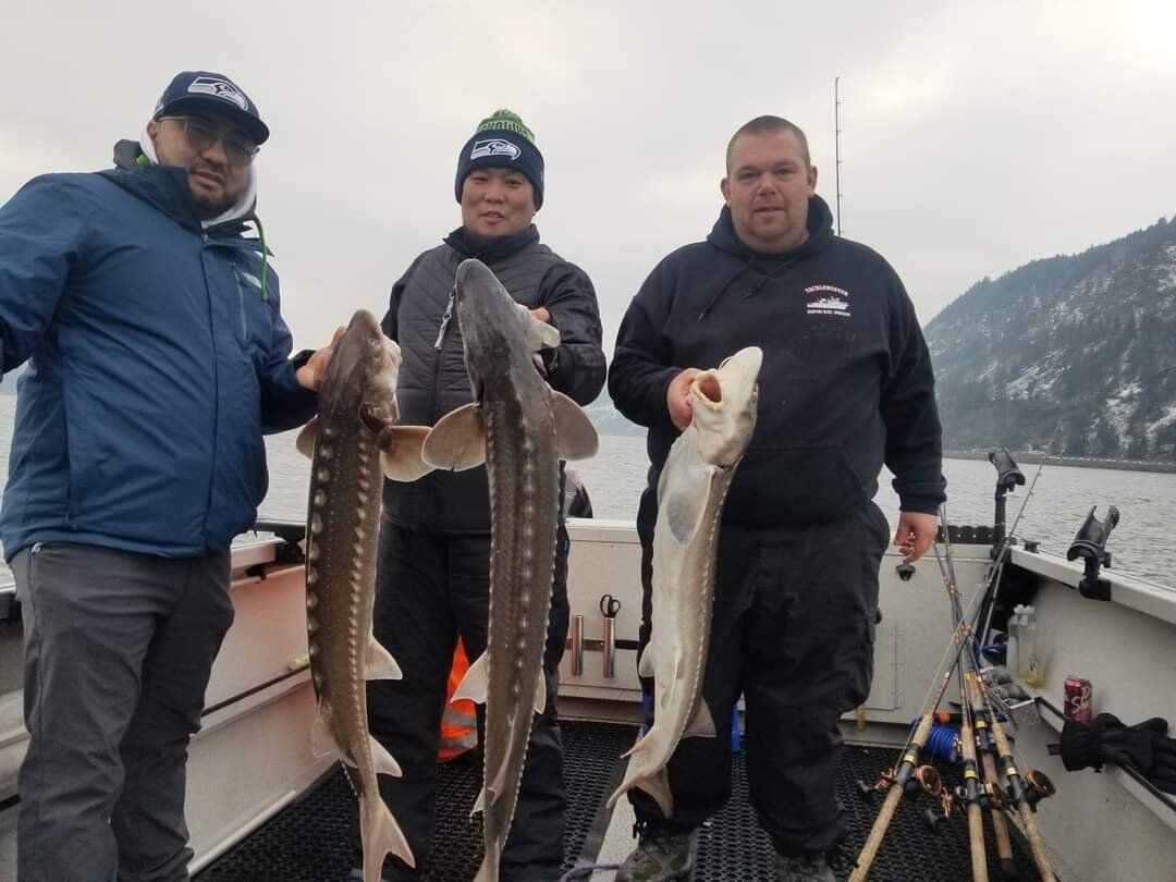 Columbia River Sturgeon Season 2024 When to Catch a Keeper OR & WA