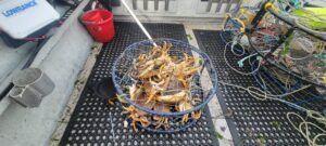 Oregon Crabbing Report for 2023 (Frequent Updates)